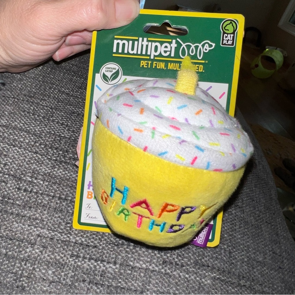 Multipet Cat Play Happy Birthday Cat Toy New NWT